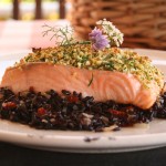 salmon y arroz venere 1