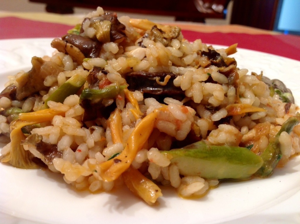 arroz camagrocs